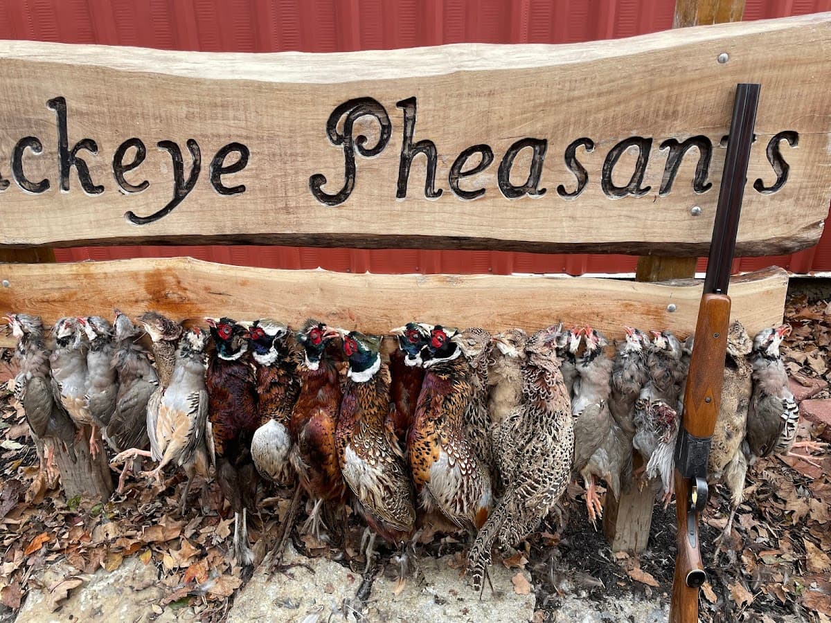 Buckeye Pheasant Hunting Preserve hunting ranch in New Lebanon, Ohio