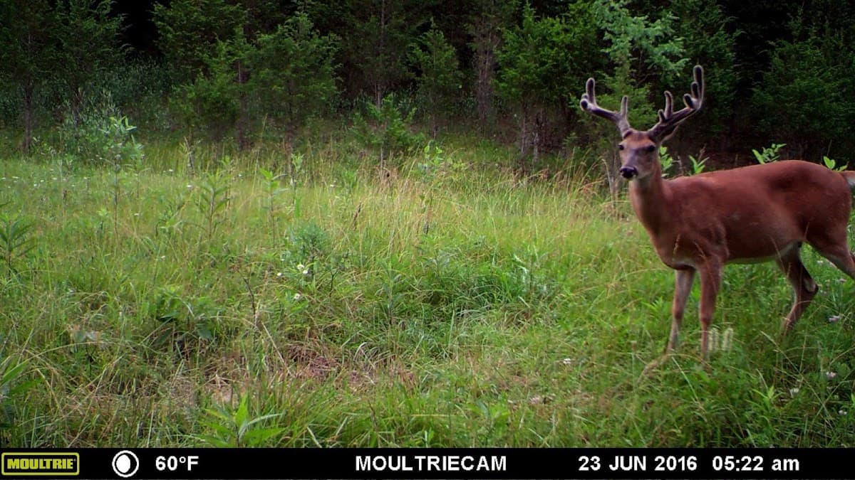 Ohio Premier Trophy Outfitters hunting ranch in West Union, Ohio