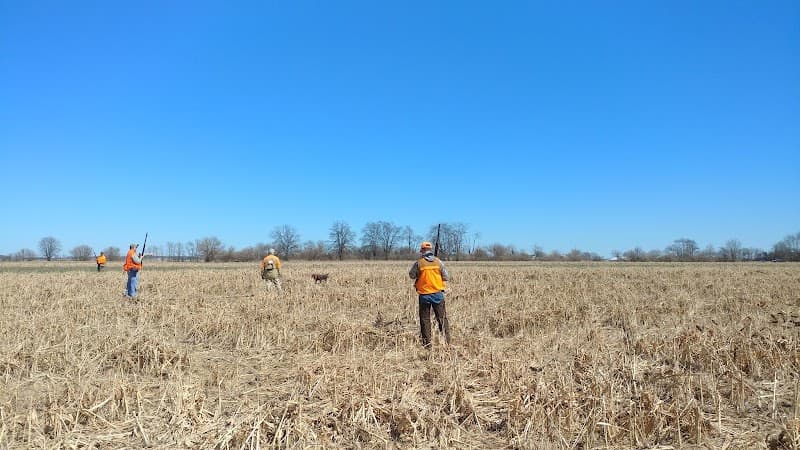 Cherrybend Pheasant Farm hunting ranch in Wilmington, OH - gallery photo 3