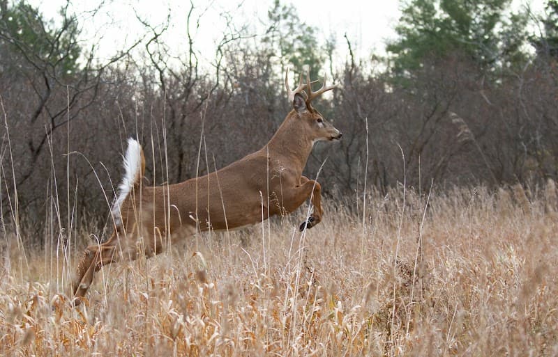 Double Play Hunting hunting ranch in Athens, OH - gallery photo 2