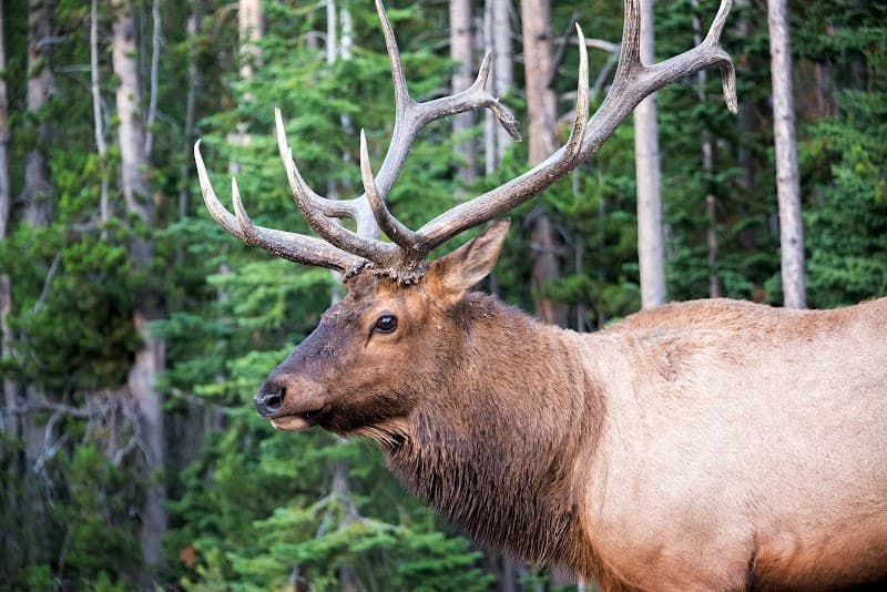 Double Play Hunting hunting ranch in Athens, OH - gallery photo 3