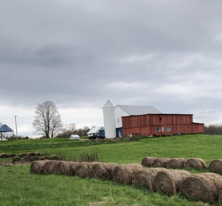 Monigold's Upland Bird Hunting hunting ranch in Newcomerstown, OH - gallery photo 2