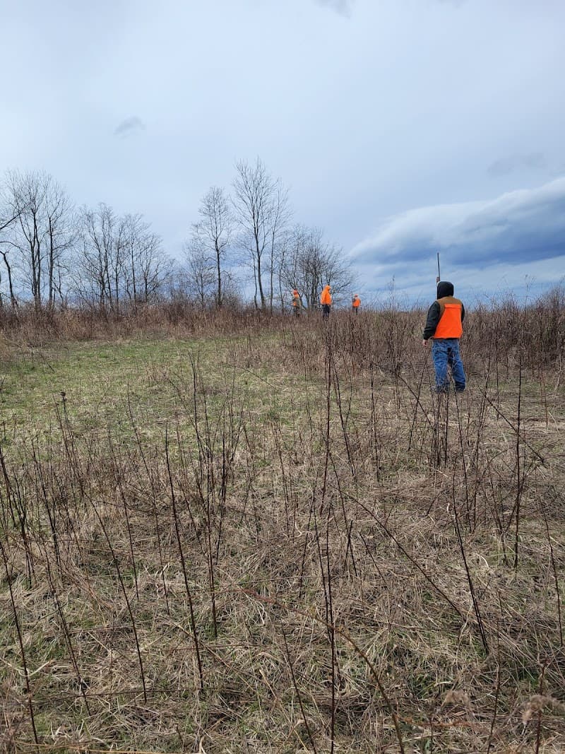 Monigold's Upland Bird Hunting hunting ranch in Newcomerstown, OH - gallery photo 6