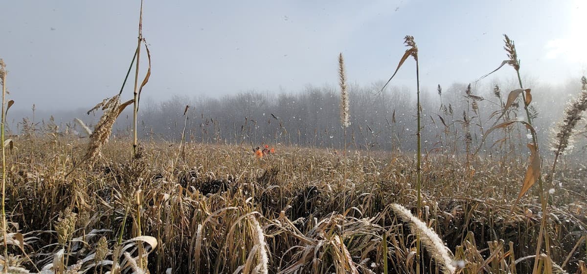 Colebrook Ranch hunting ranch in Orwell, Ohio
