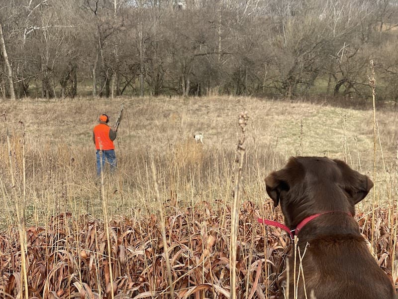Beech Fork,LLC. hunting ranch in Springfield, KY - gallery photo 4