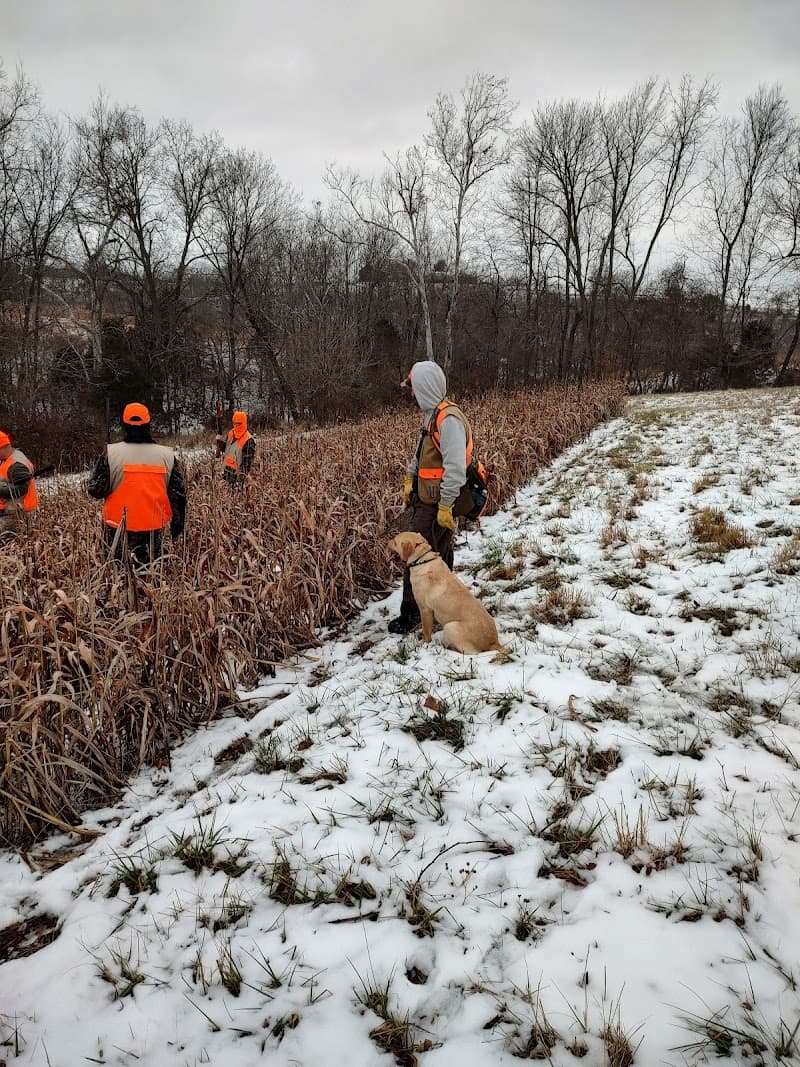 Beech Fork,LLC. hunting ranch in Springfield, KY - gallery photo 6