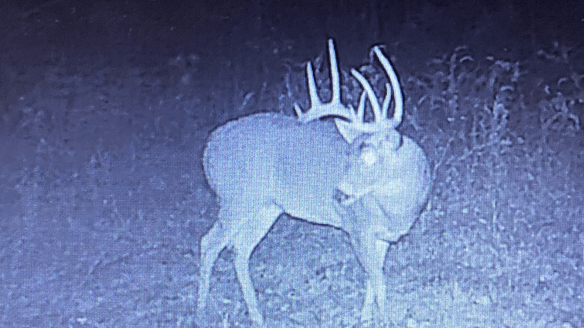 Ohio Whitetail Ridge Outfitters hunting ranch in Niles, Ohio