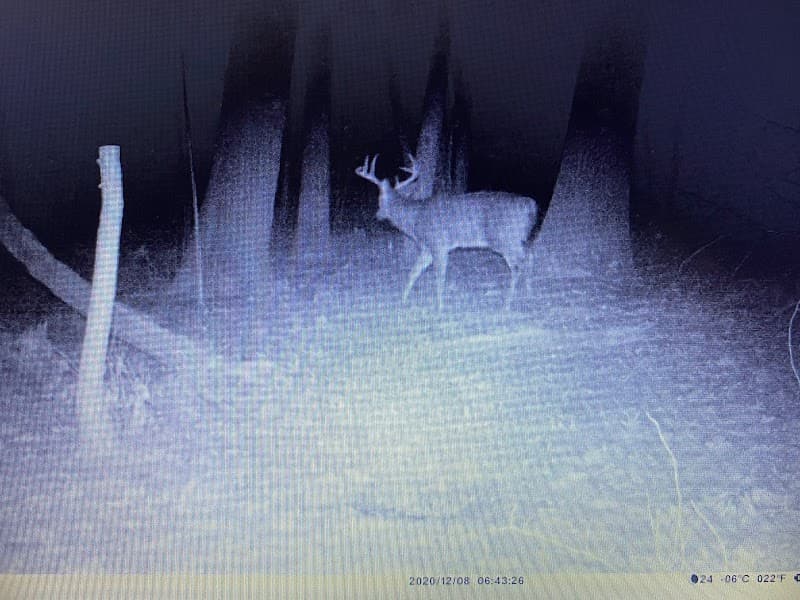 Ohio Whitetail Ridge Outfitters hunting ranch in Niles, OH - gallery photo 1
