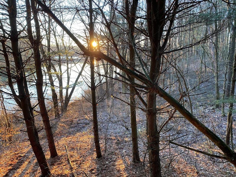 Ohio Whitetail Ridge Outfitters hunting ranch in Niles, OH - gallery photo 3