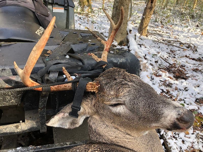 Ohio Whitetail Ridge Outfitters hunting ranch in Niles, OH - gallery photo 5