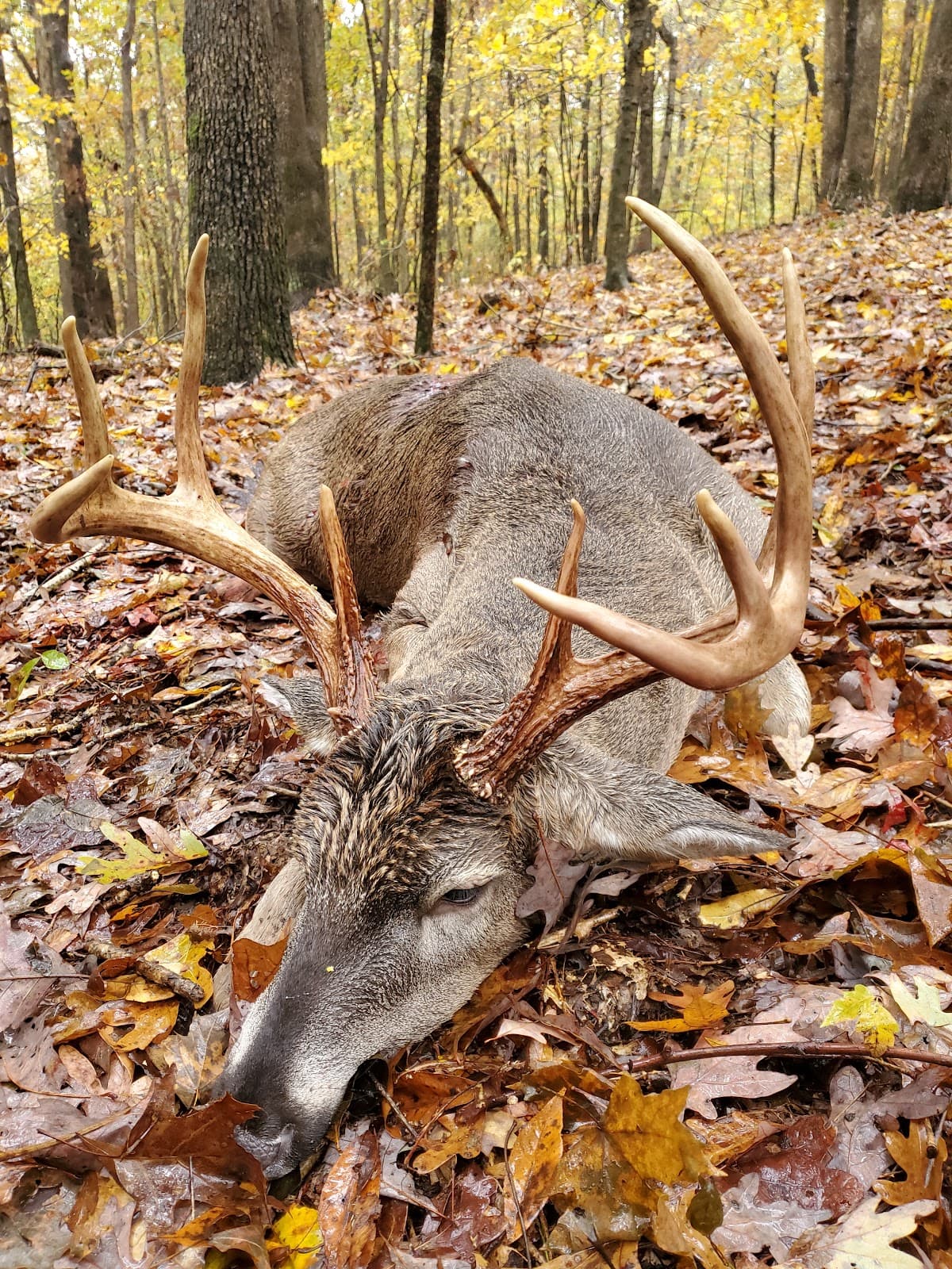 jonathan creek outfitters hunting ranch in Dexter, Kentucky