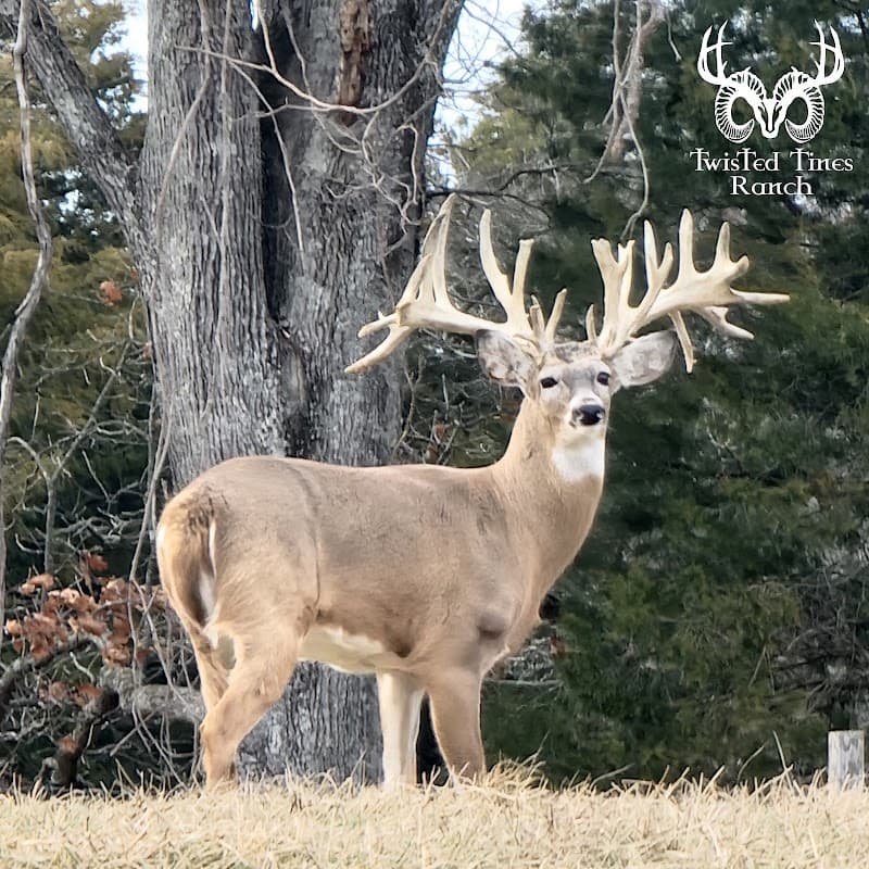 Twisted Tines Ranch hunting ranch in Berry, KY - gallery photo 3