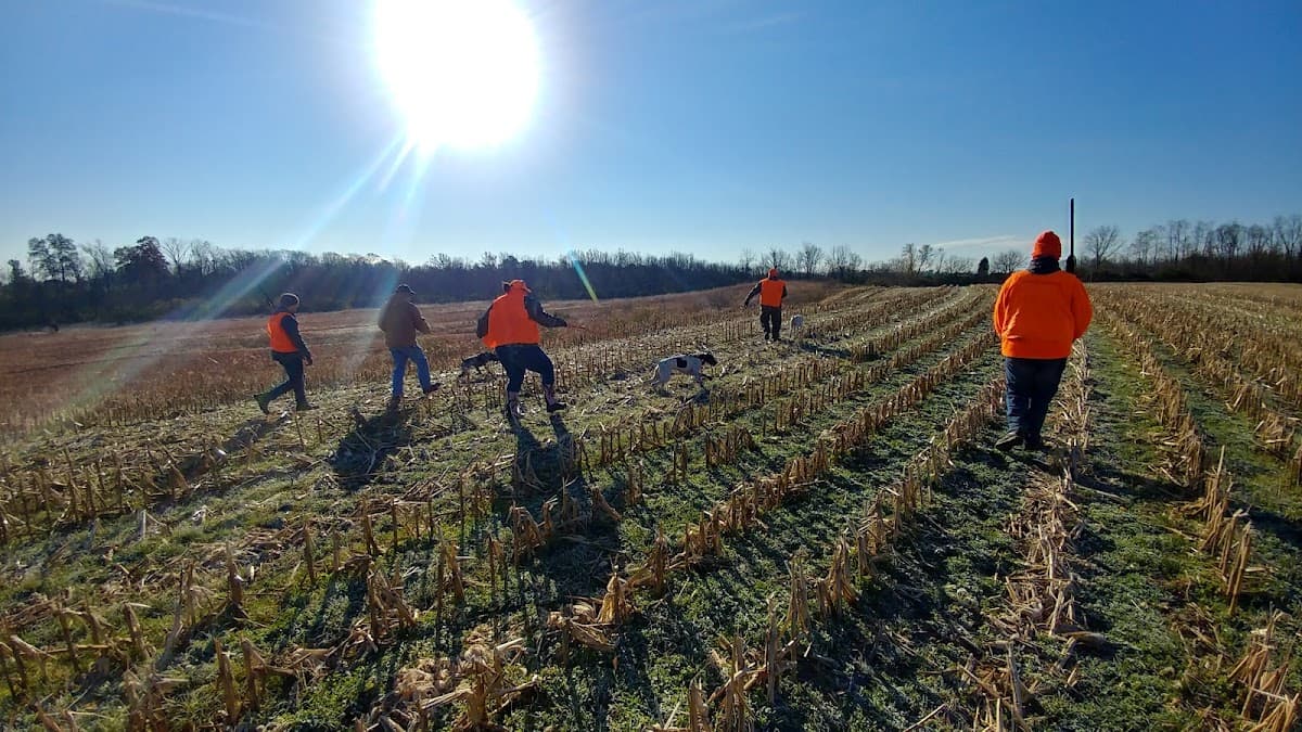 Mulberry Pheasantry hunting ranch in Camden, Ohio