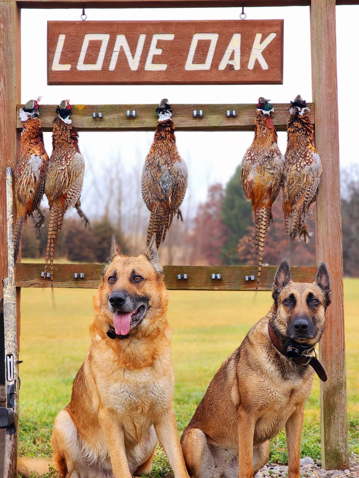 Lone Oak Farm hunting ranch in Delaware, Ohio