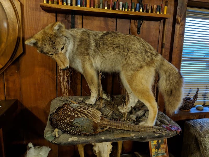 Lone Oak Farm hunting ranch in Delaware, OH - gallery photo 3
