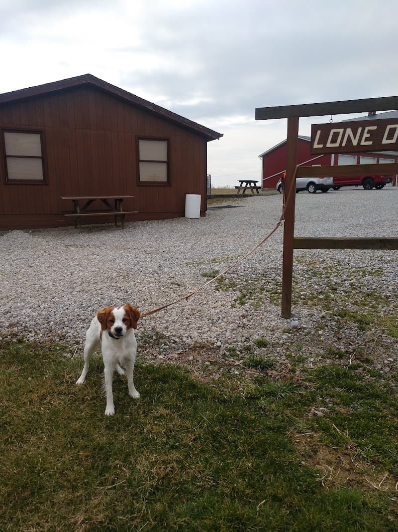 Lone Oak Farm hunting ranch in Delaware, OH - gallery photo 6