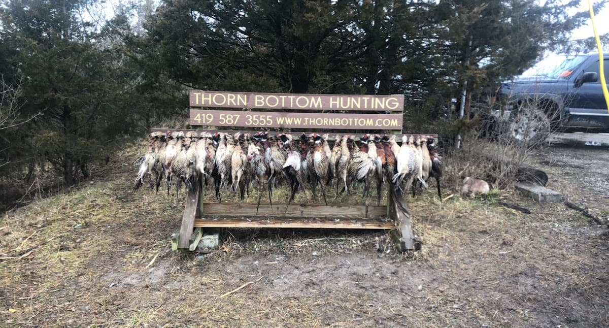 Thorn Bottom Hunting Preserve hunting ranch in Grover Hill, Ohio