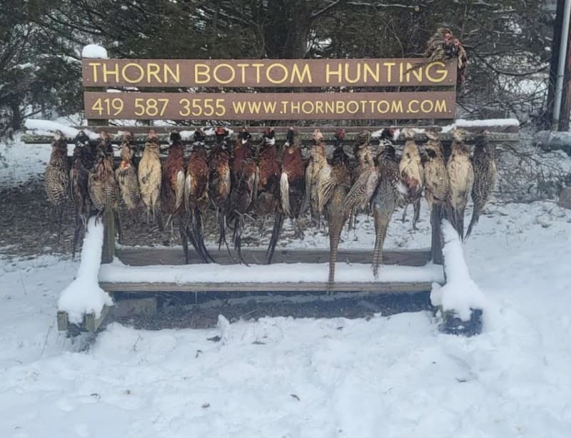 Thorn Bottom Hunting Preserve hunting ranch in Grover Hill, OH - gallery photo 1