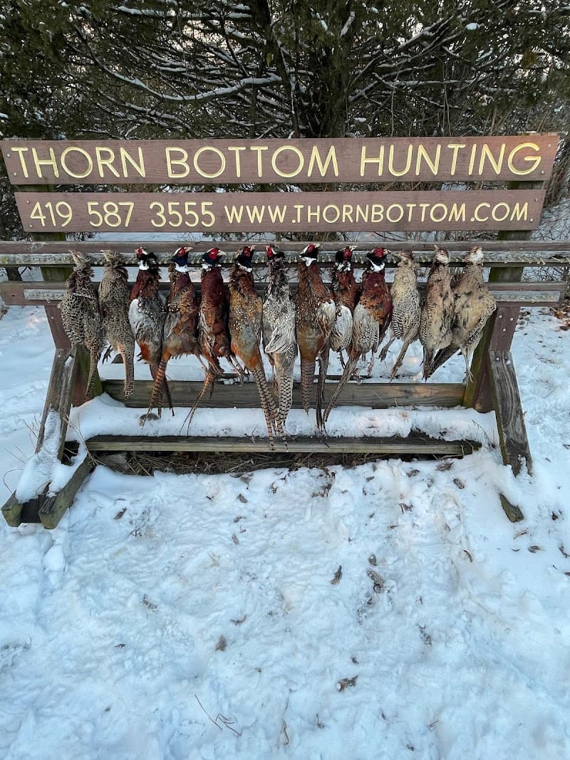 Thorn Bottom Hunting Preserve hunting ranch in Grover Hill, OH - gallery photo 2