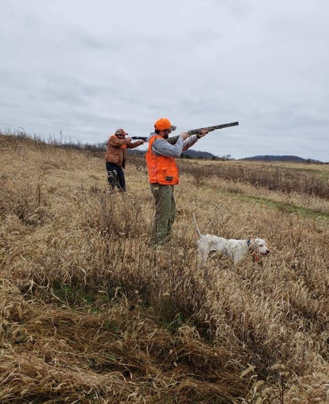 YellowPointe Ranch Game/Upland Hunting Preserve hunting ranch in Crab Orchard, Kentucky