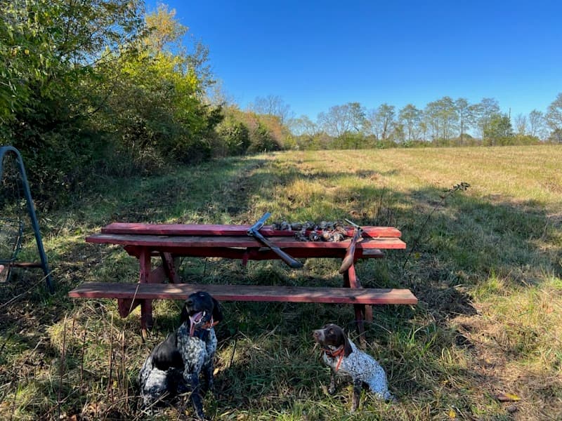 YellowPointe Ranch Game/Upland Hunting Preserve hunting ranch in Crab Orchard, KY - gallery photo 6