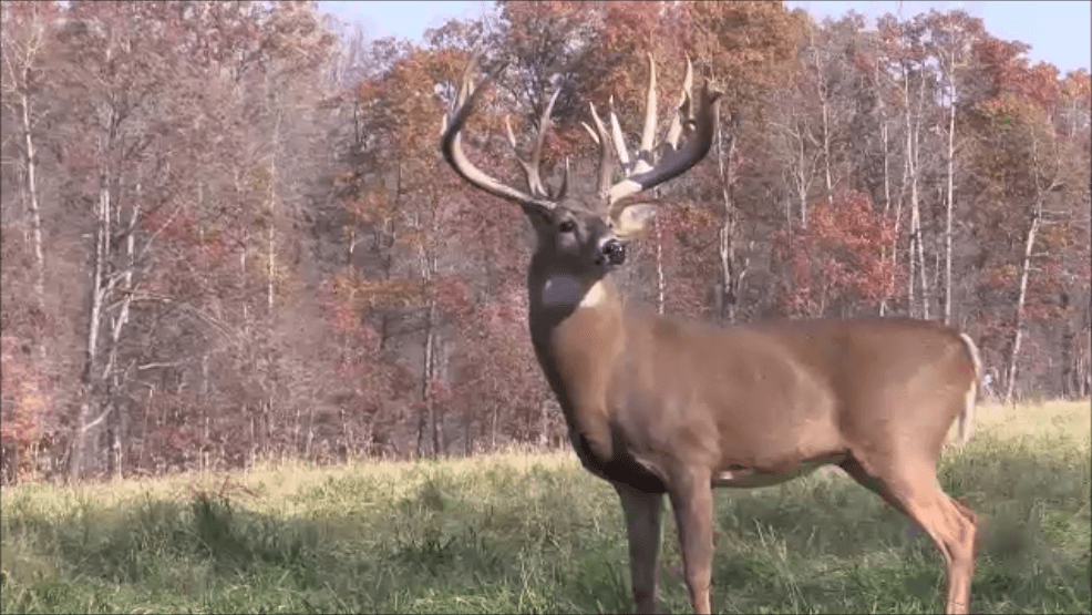 Xtreme World Class Whitetails Of Ohio hunting ranch in Millersburg, Ohio