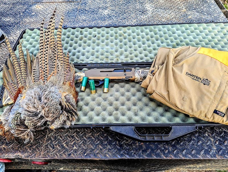 Federal Valley Pheasant Farm & Hunting Preserve LLC hunting ranch in Amesville, OH - gallery photo 2