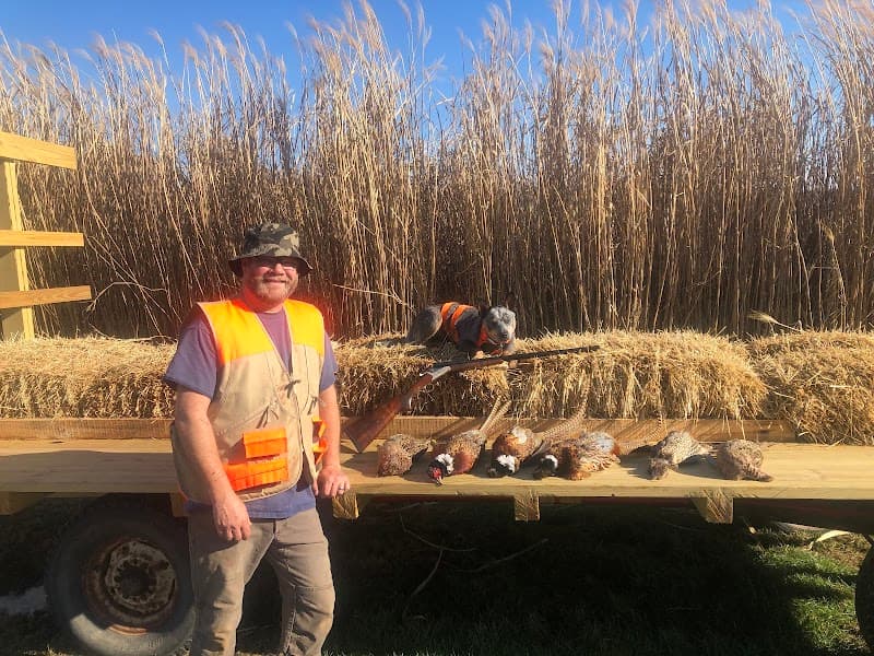 Federal Valley Pheasant Farm & Hunting Preserve LLC hunting ranch in Amesville, OH - gallery photo 3