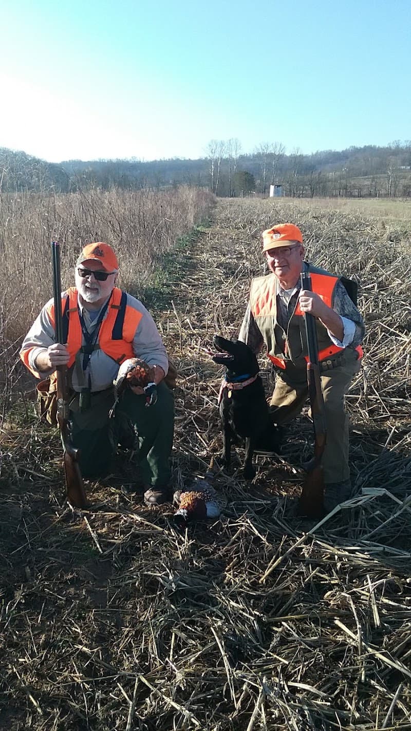 Federal Valley Pheasant Farm & Hunting Preserve LLC hunting ranch in Amesville, OH - gallery photo 4