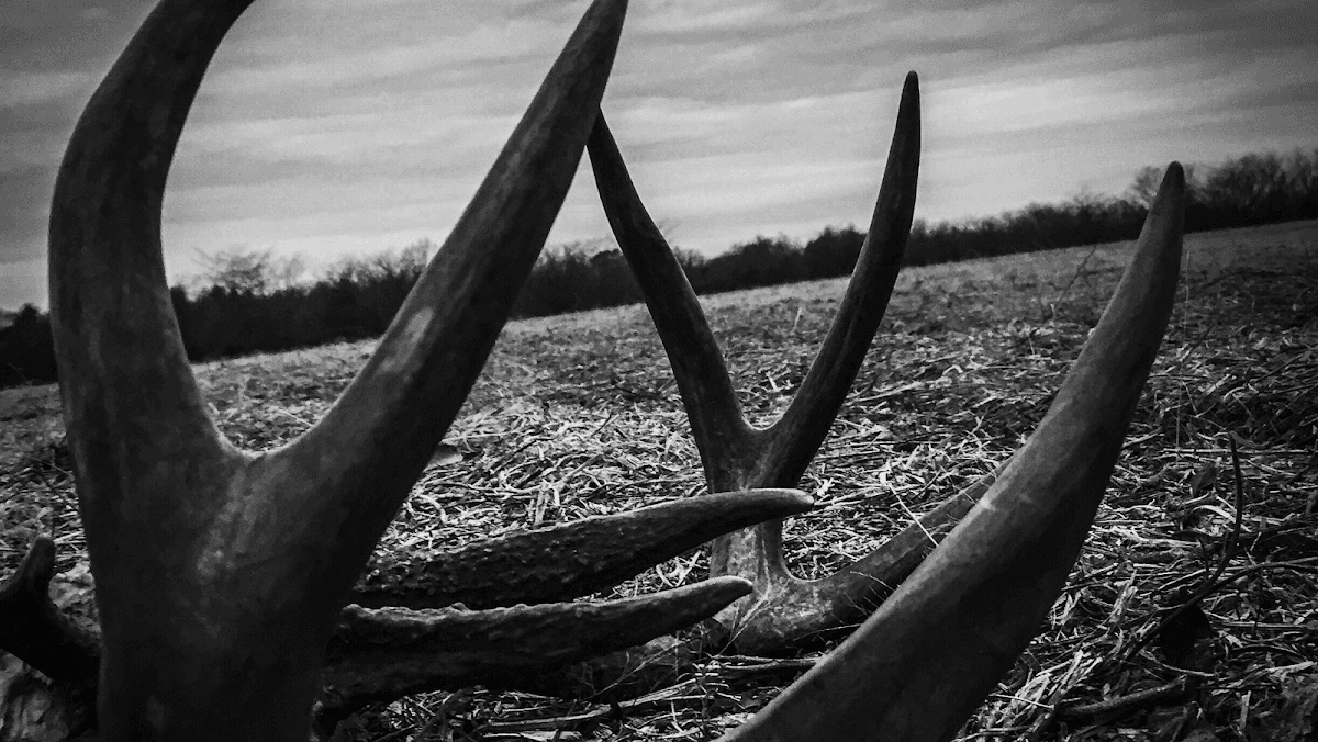 RACKNINE OUTDOORS LLC hunting ranch in Cromwell, Kentucky