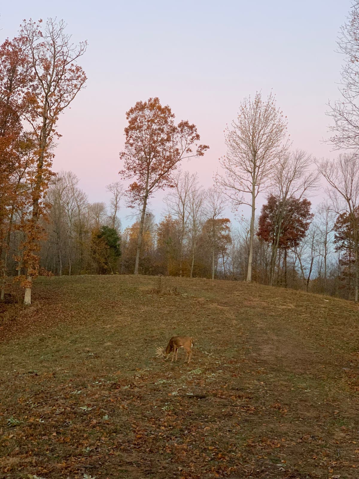 B3 Whitetails LLC hunting ranch in Dawson Springs, Kentucky