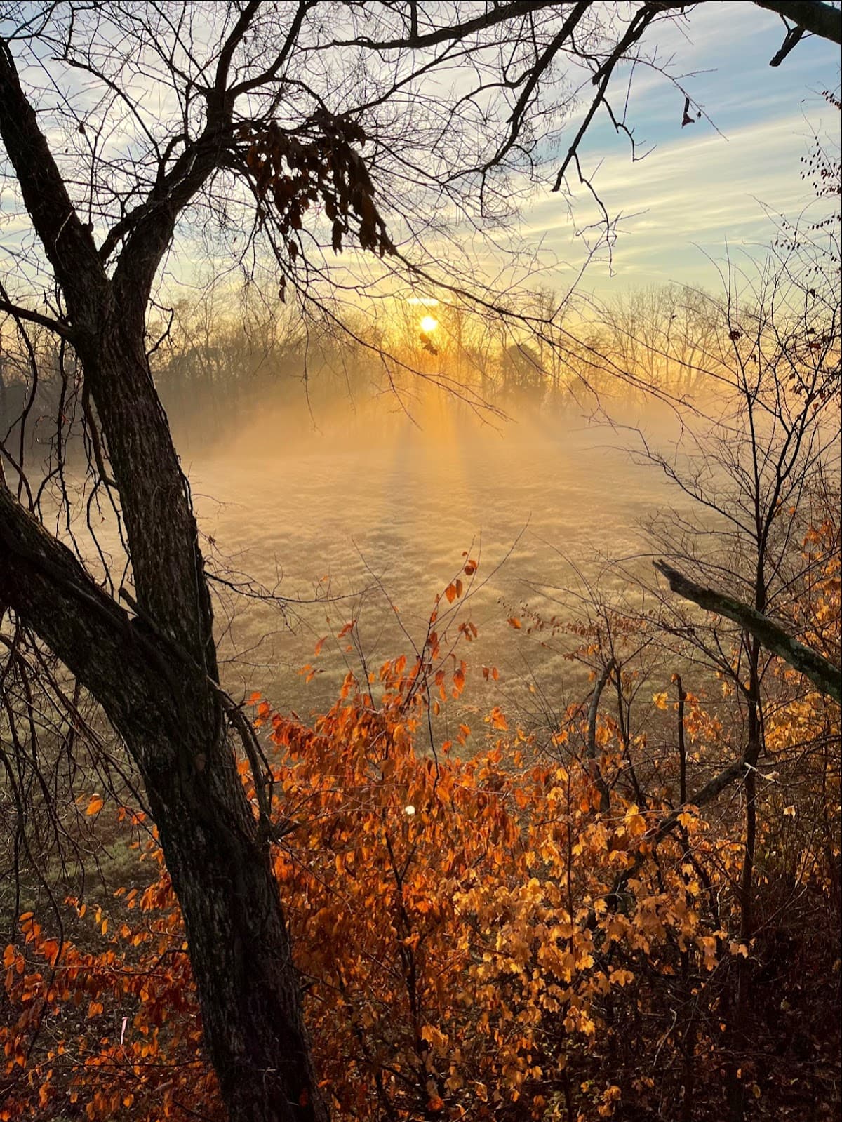 Tad Ladd West Kentucky Whitetails hunting ranch in Princeton, Kentucky