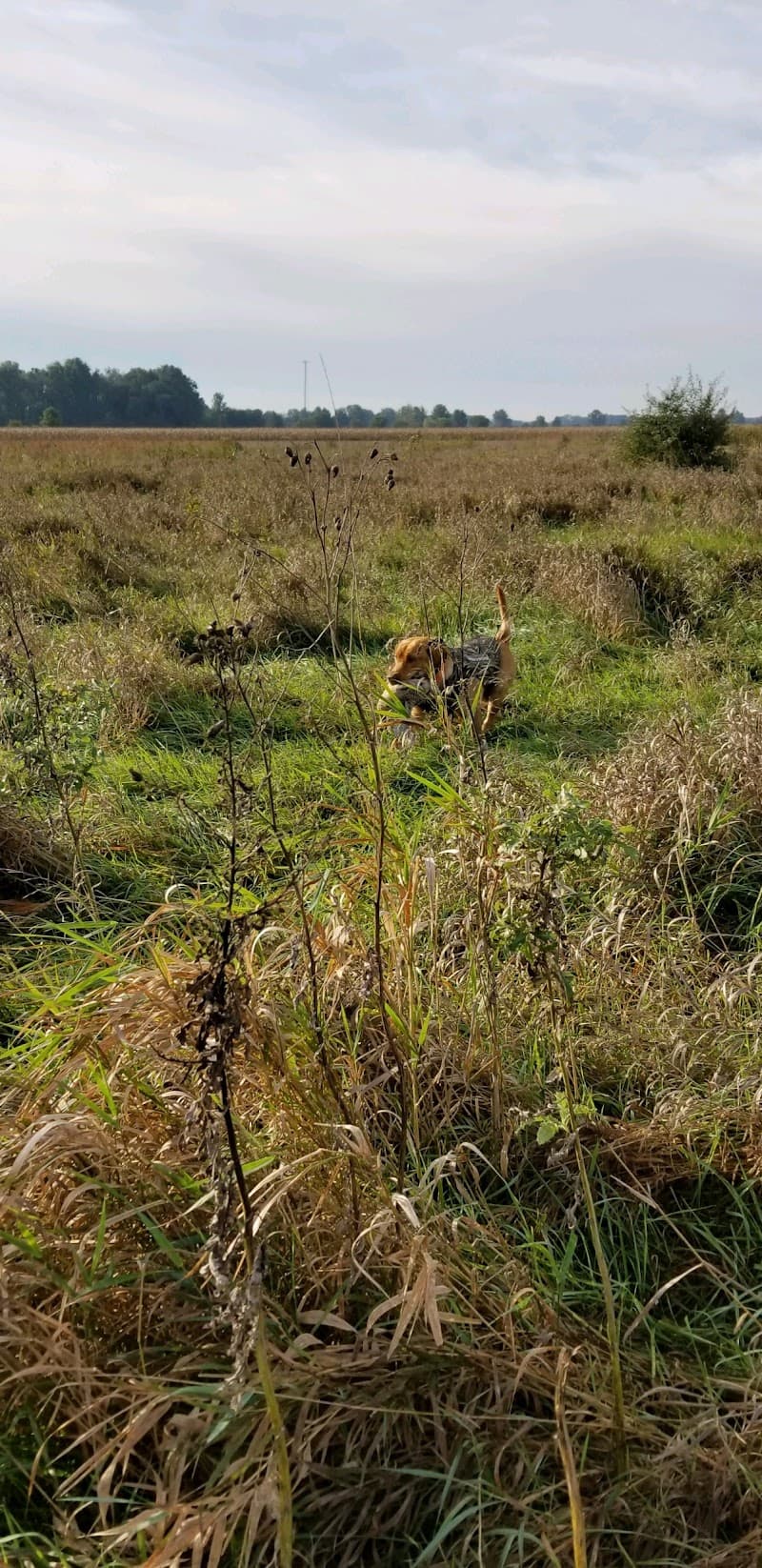 Brier Oak Hunt Club hunting ranch in Bellevue, OH - gallery photo 1
