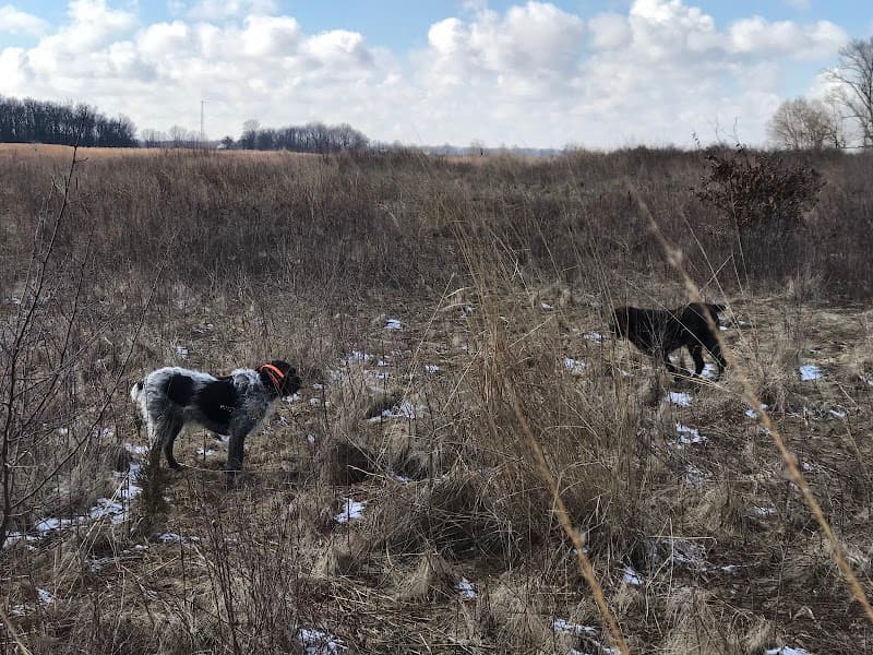 Brier Oak Hunt Club hunting ranch in Bellevue, OH - gallery photo 3