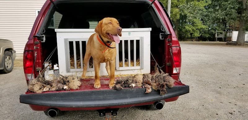 Brier Oak Hunt Club hunting ranch in Bellevue, OH - gallery photo 6