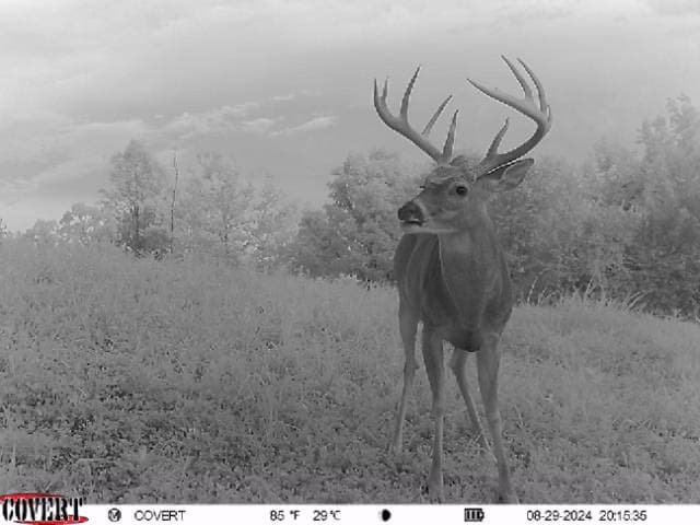Whitetail Hunting Kentucky hunting ranch in Vanceburg, KY - gallery photo 1