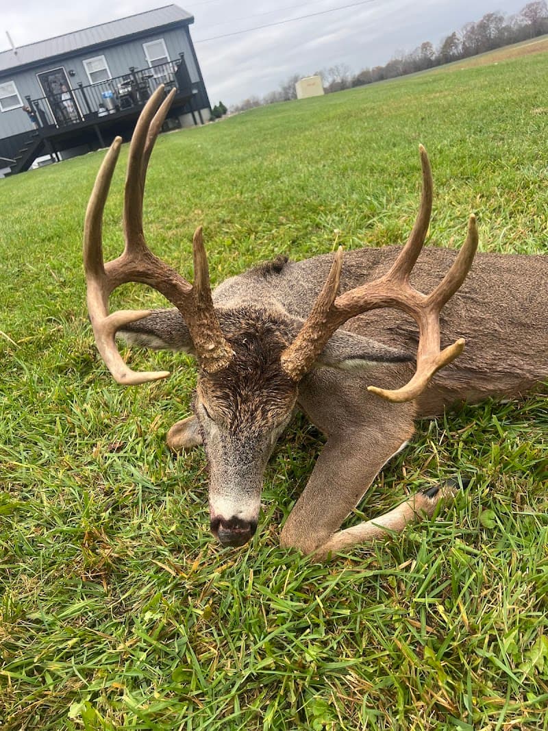 Whitetail Hunting Kentucky hunting ranch in Vanceburg, KY - gallery photo 3