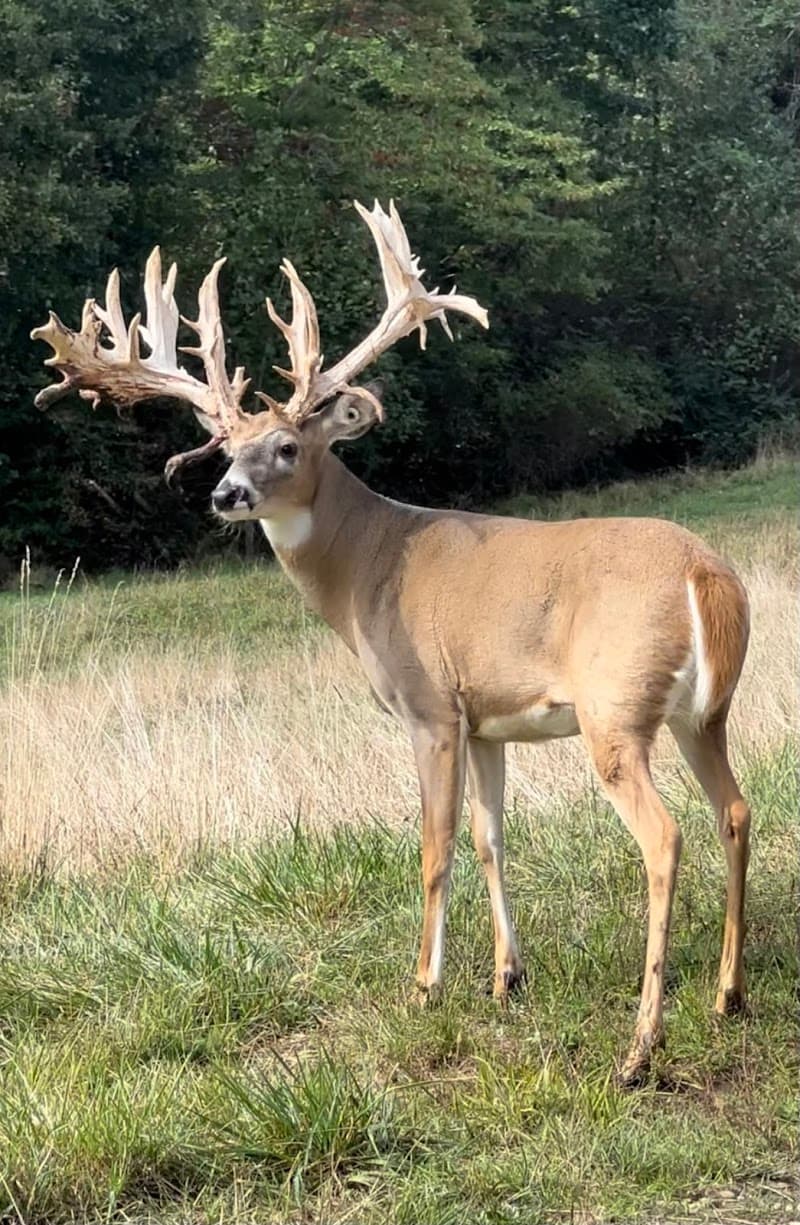 First Class Trophy Ranch hunting ranch in Stone Creek, OH - gallery photo 1
